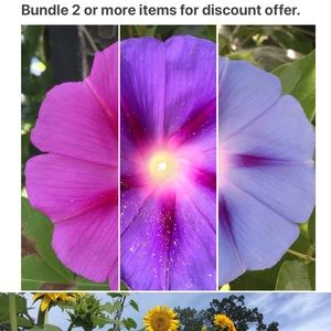 Bundle & Save!